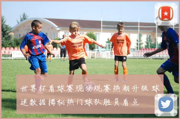 世界杯看球赛现场观赛热潮升级 球迷数据揭秘热门球队胜负看点